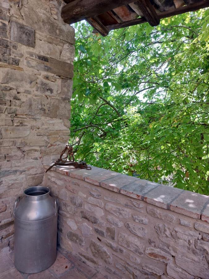 Rocca Castrignano Villa Riano  Dış mekan fotoğraf